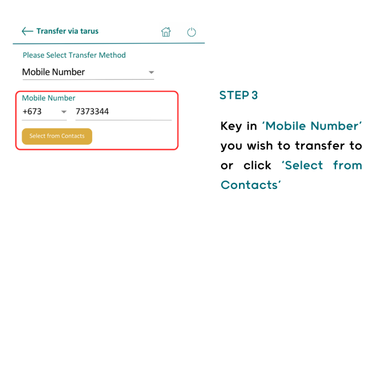 tarus_transfer_step3